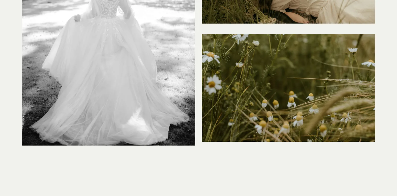 Verdant Photography